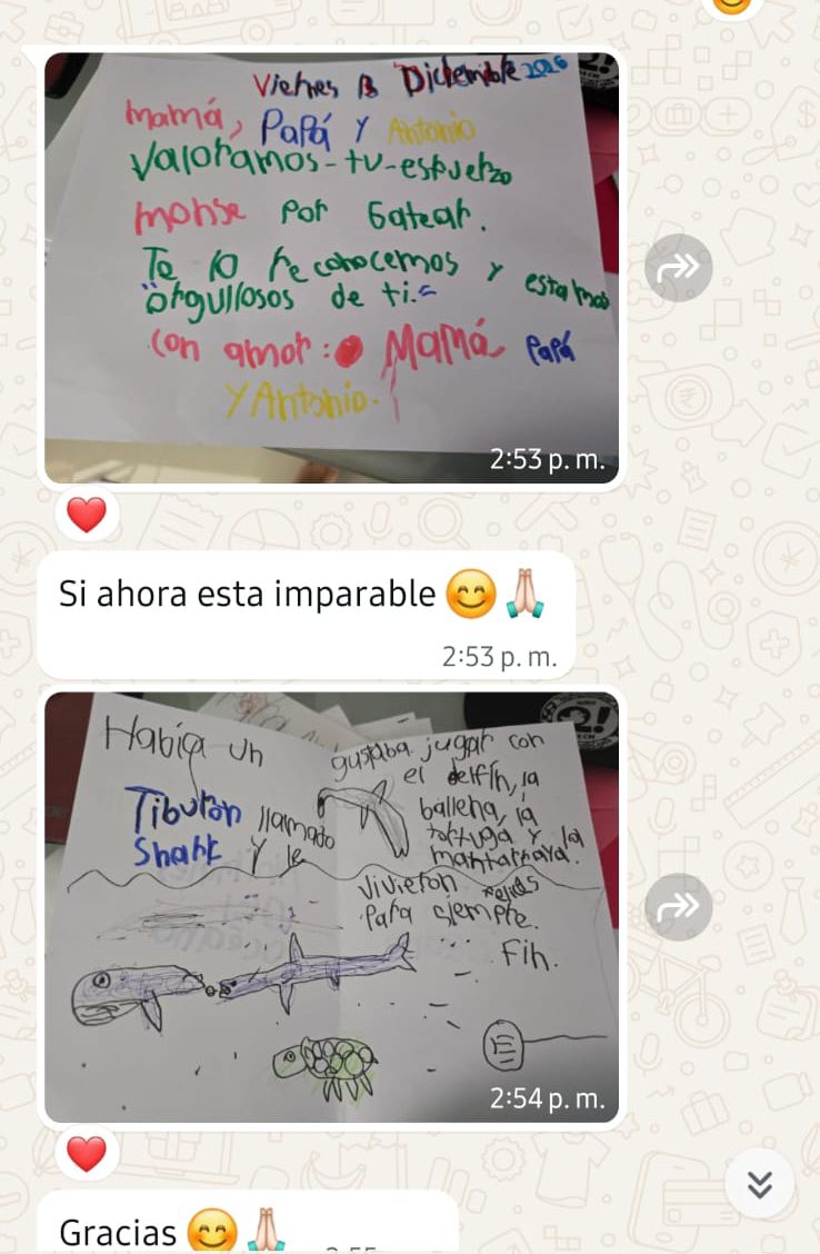 Recomendación de familia 1